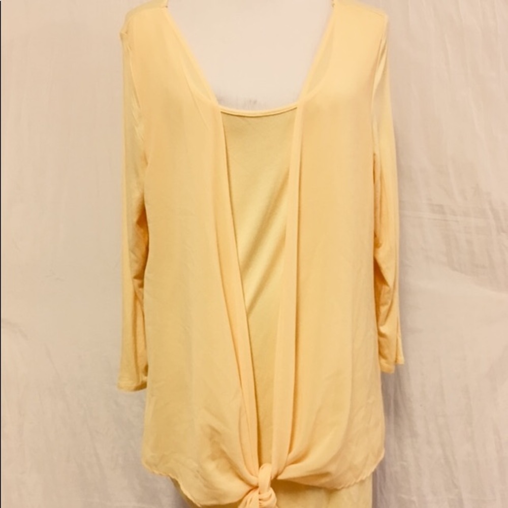 NWOT Joseph A Tunic Top Size XL Chiffon Overlay